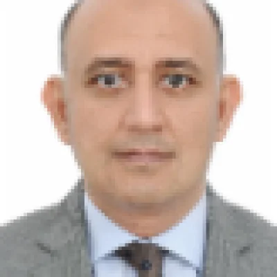 Hesham Marei