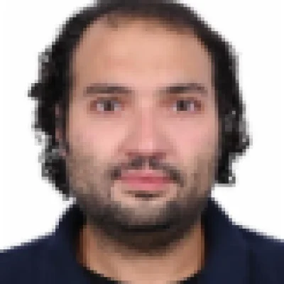Hisham Mously