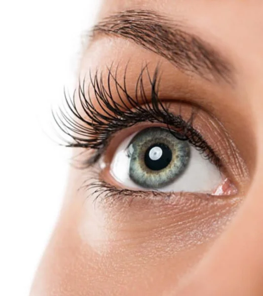 New Vision Eye Center FZ-LLC photo 1