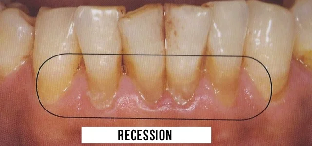 CLOVER BEE MEDICAL CENTRE L.L.C photo 7