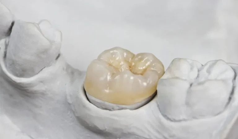 FACES AND BRACES DENTAL CLINIC L.L.C photo 5