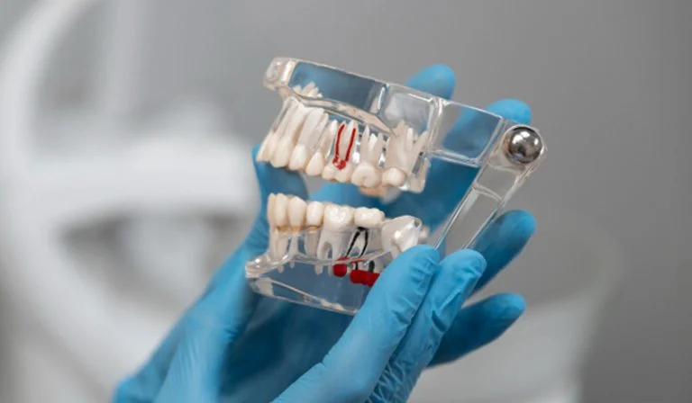 FACES AND BRACES DENTAL CLINIC L.L.C photo 8