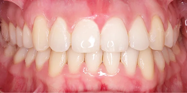 Go Dental Clinic L L C photo 2