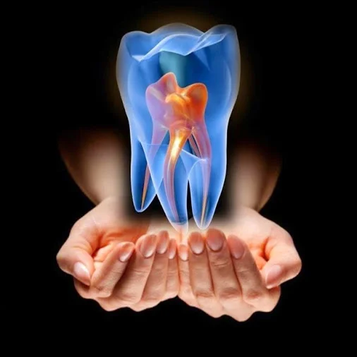 Mahboubi Poly Dental Clinic photo 7