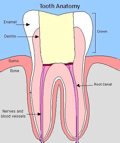 Munich Dental Clinic photo 4
