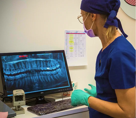 Nava Dental Care LLC photo 6