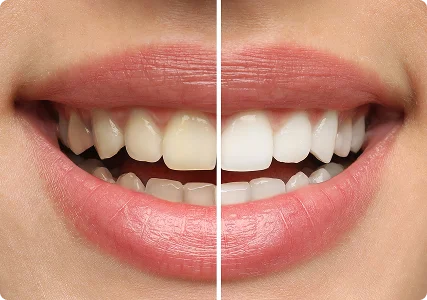 ESTHETIC AVENUE BY DR NIFU POLY CLINIC L.L.C photo 3