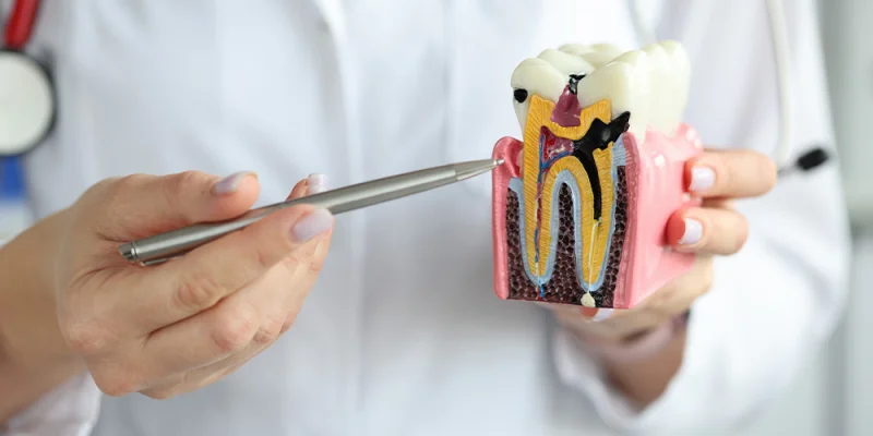 SAHARA DENTAL CLINIC AND ORTHODONTIC CENTRE L.L.C  BRANCH photo 5