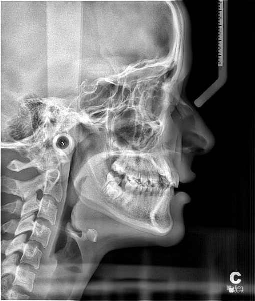 WHITEY SMILE MEDICAL CENTER photo 3
