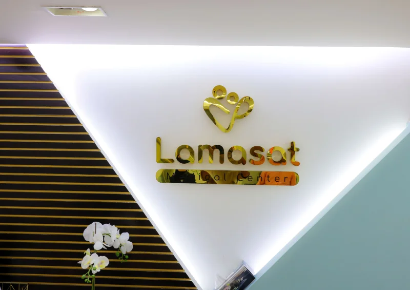 LAMASAT MEDICAL CENTER photo 1