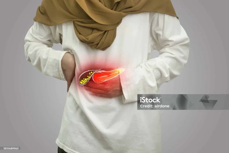 EMIRATES EUROPEAN HOSPITAL LLC ONE DAY SURGERY photo 3