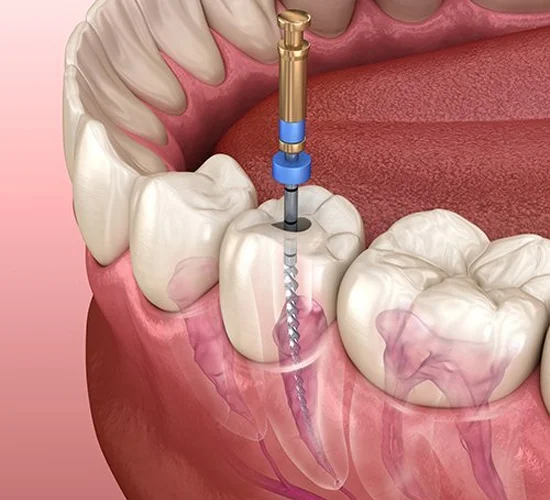 CITY DENTAL CLINIC LLC photo 2