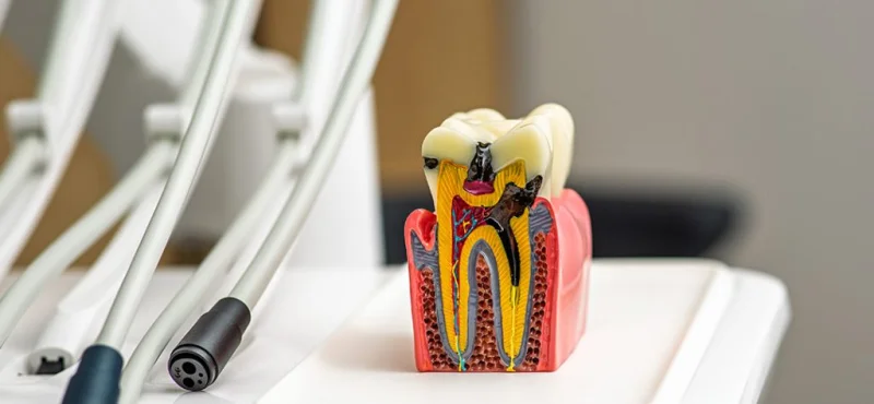 TAJ DENTAL CLINIC photo 2