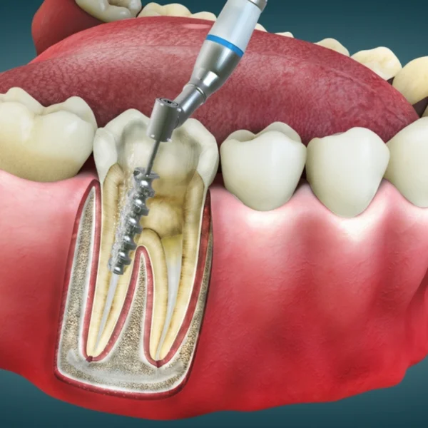 PALERMO DENTAL CENTRE - L.L.C - O.P.C photo 1