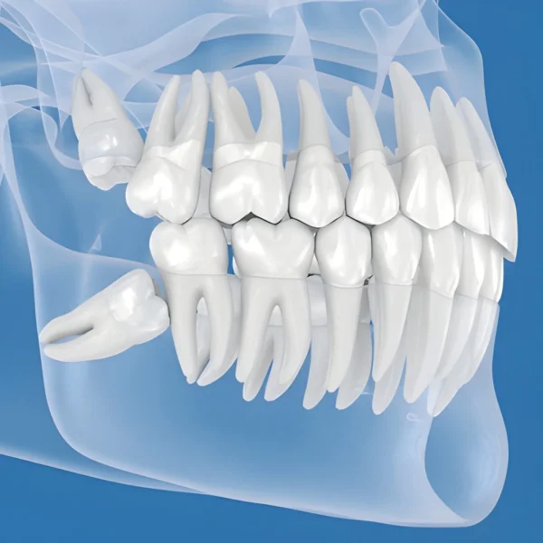 PALERMO DENTAL CENTRE - L.L.C - O.P.C photo 6