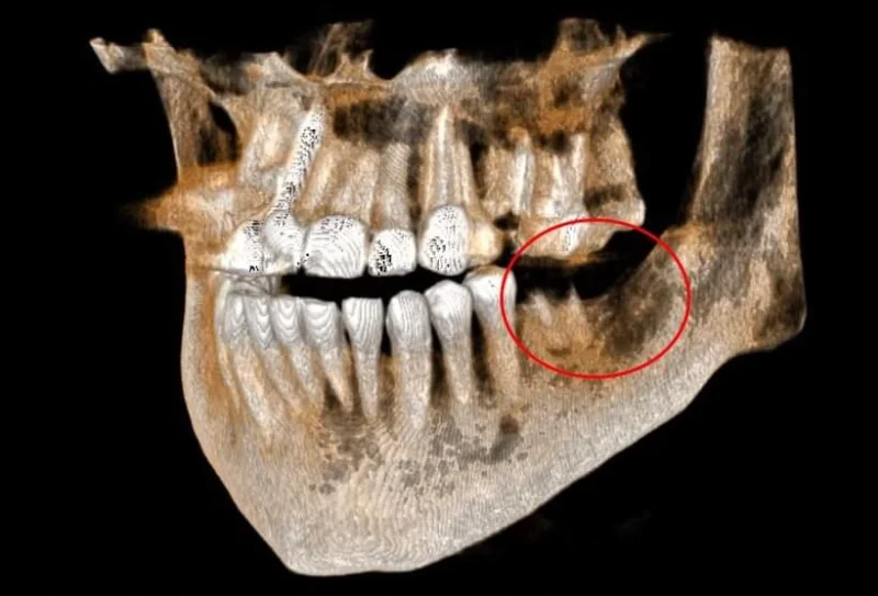 VISION DENTAL CLINIC L.L.C photo 3