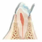 Dentzz Dental - Dmcc photo 3