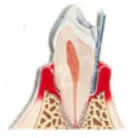 Dentzz Dental - Dmcc photo 5
