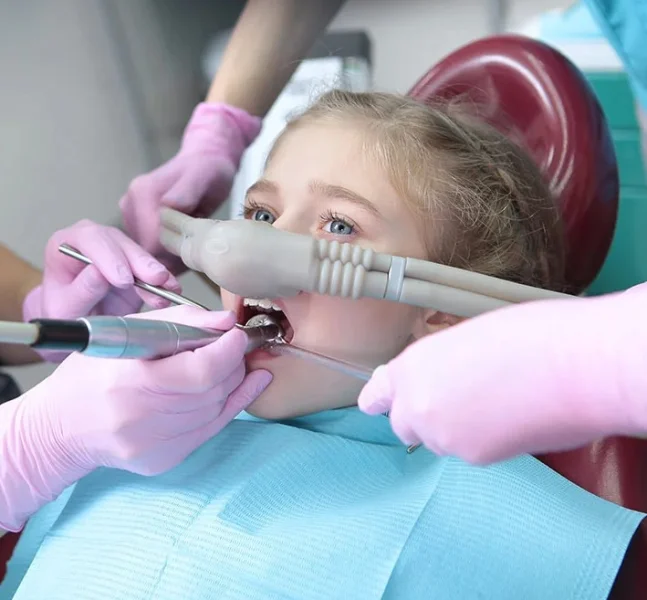 PRESIDENTS DENTAL AND AESTHETIC CLINICS L L C photo 5