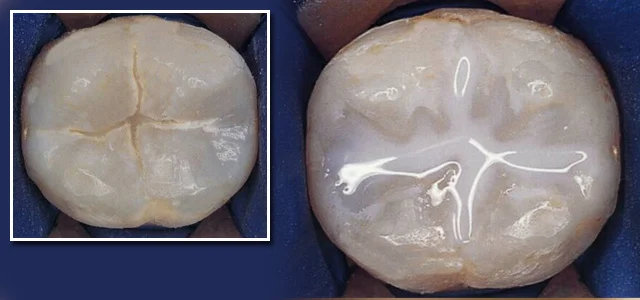 Dr Dina Pediatric Dentistry Clinic photo 4