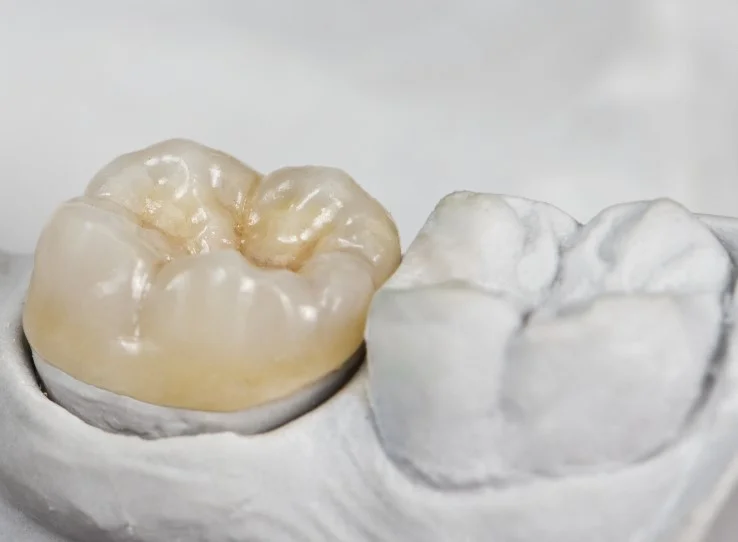 Mcgill Medical And Dental Center L L C photo 8