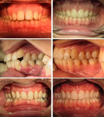 Montreal International Clinics LLC photo 2