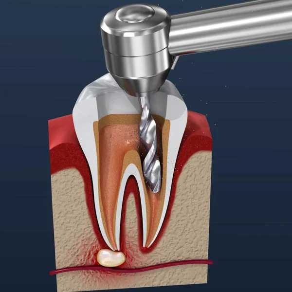 Lotus Dental Clinic L L C photo 3