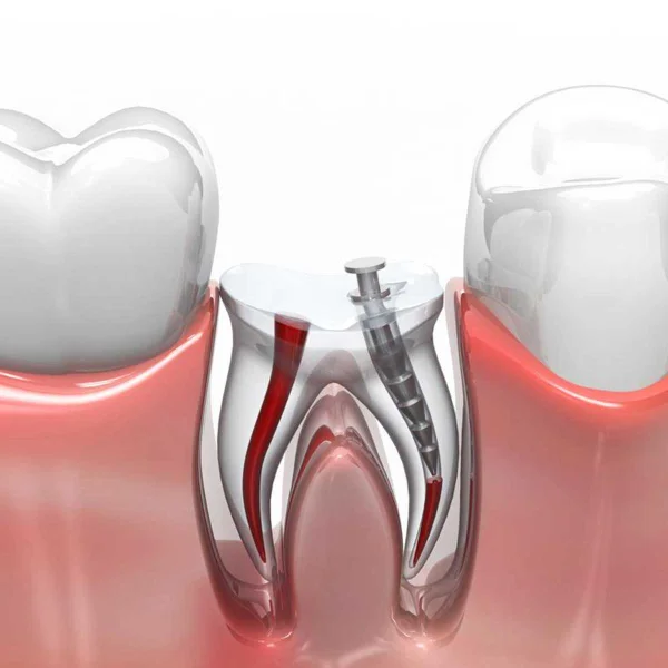Lotus Dental Clinic L L C photo 4