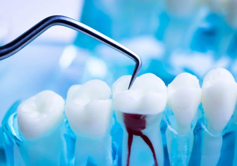 NOBLE CARE DENTAL CLINIC L.L.C photo 4